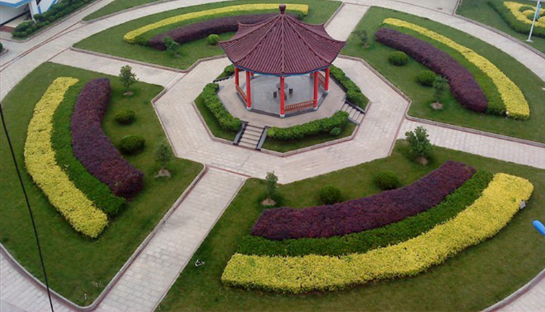 廠區(qū)花園